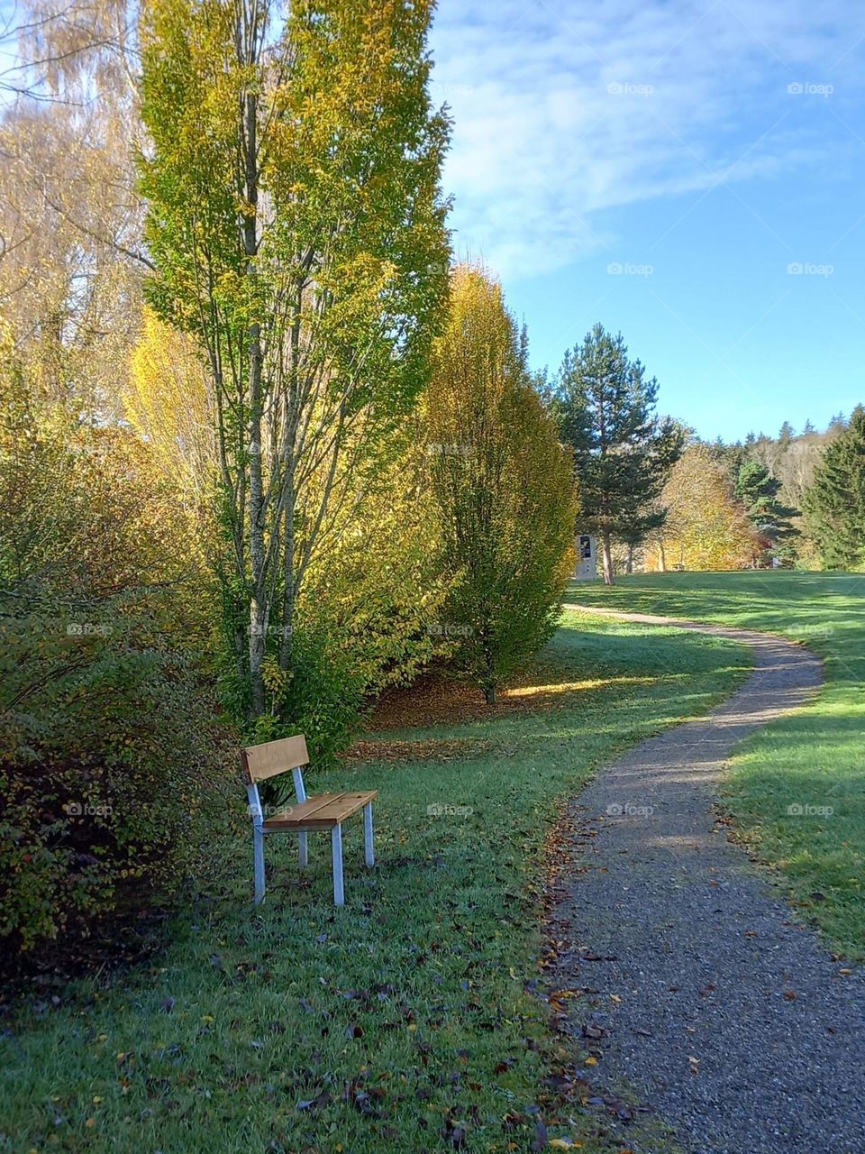 Bench in an Autumn Park