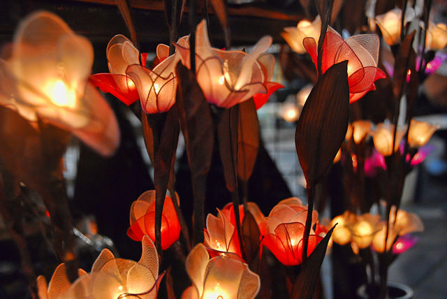 Beautiful lighting in flowers