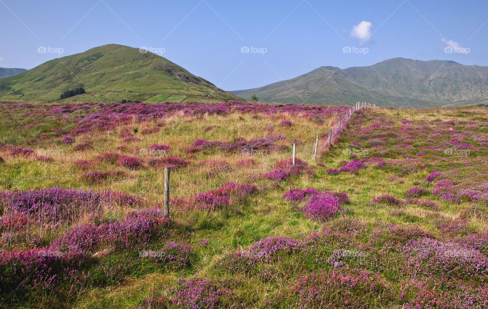 Nature of Connemara National park in county Galway, Ireland