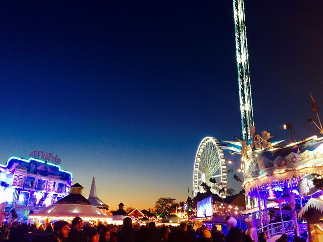 Winter wonderland 