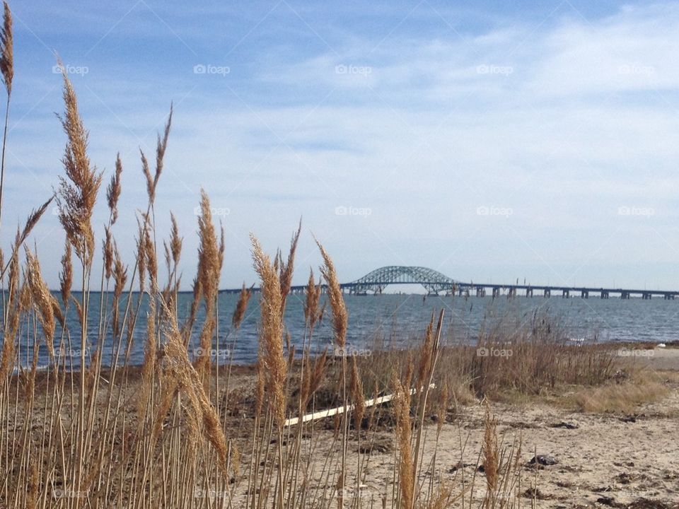 Beach and bridge