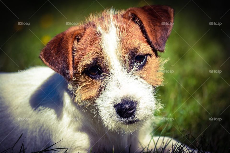 Jrt girl