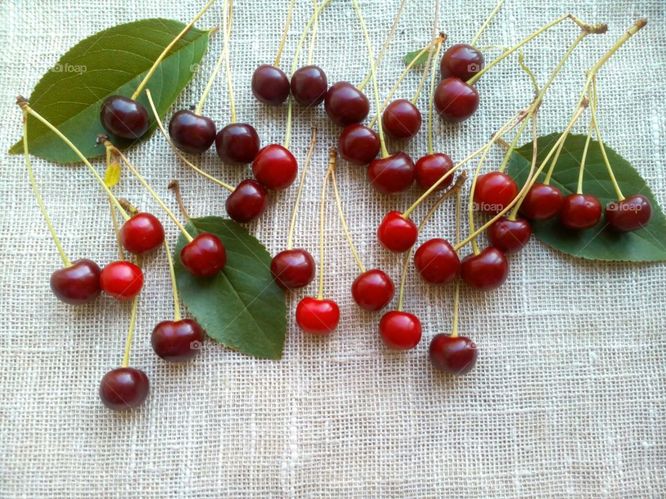 Berry, No Person, Fruit, Leaf, Health