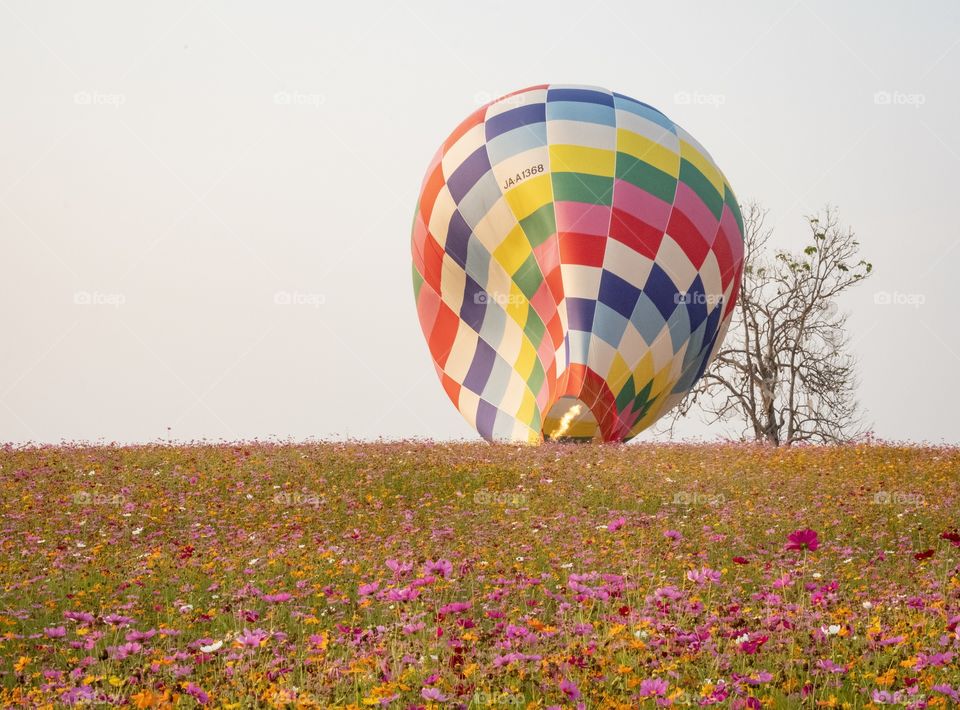 Ballon in beautiful flowers field