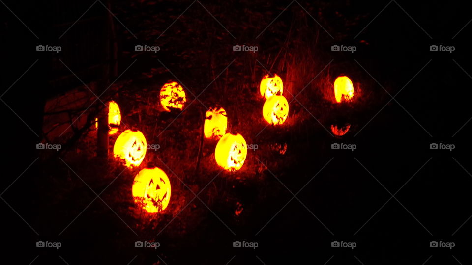 pumpkins in the darkness