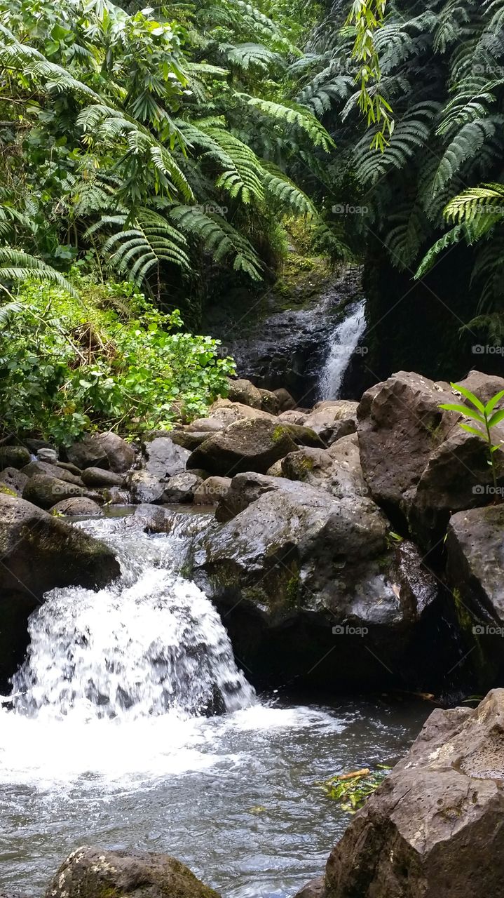 A Waterfall of Waterfalls