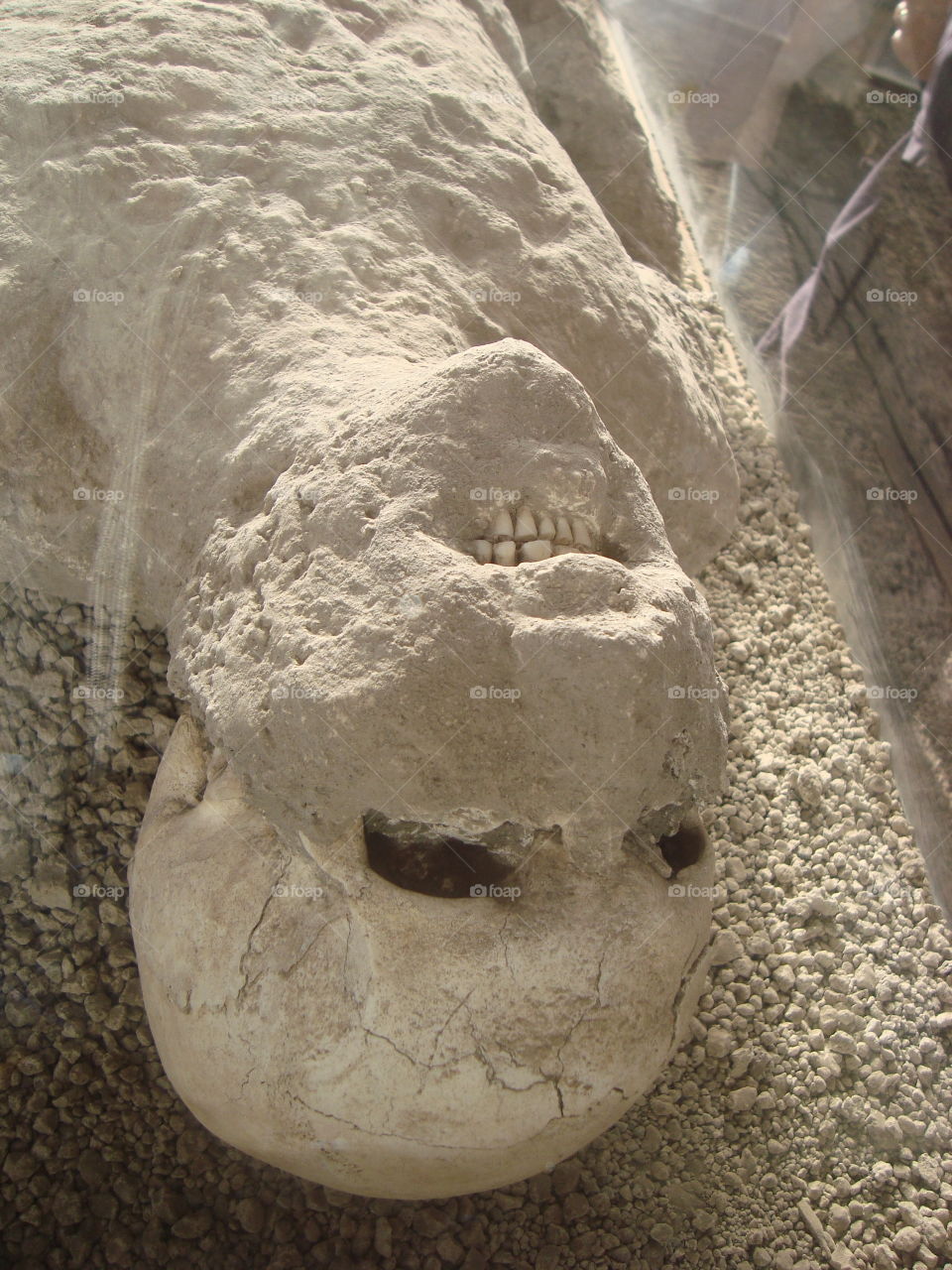 pompeii victim. italy pompeii europe