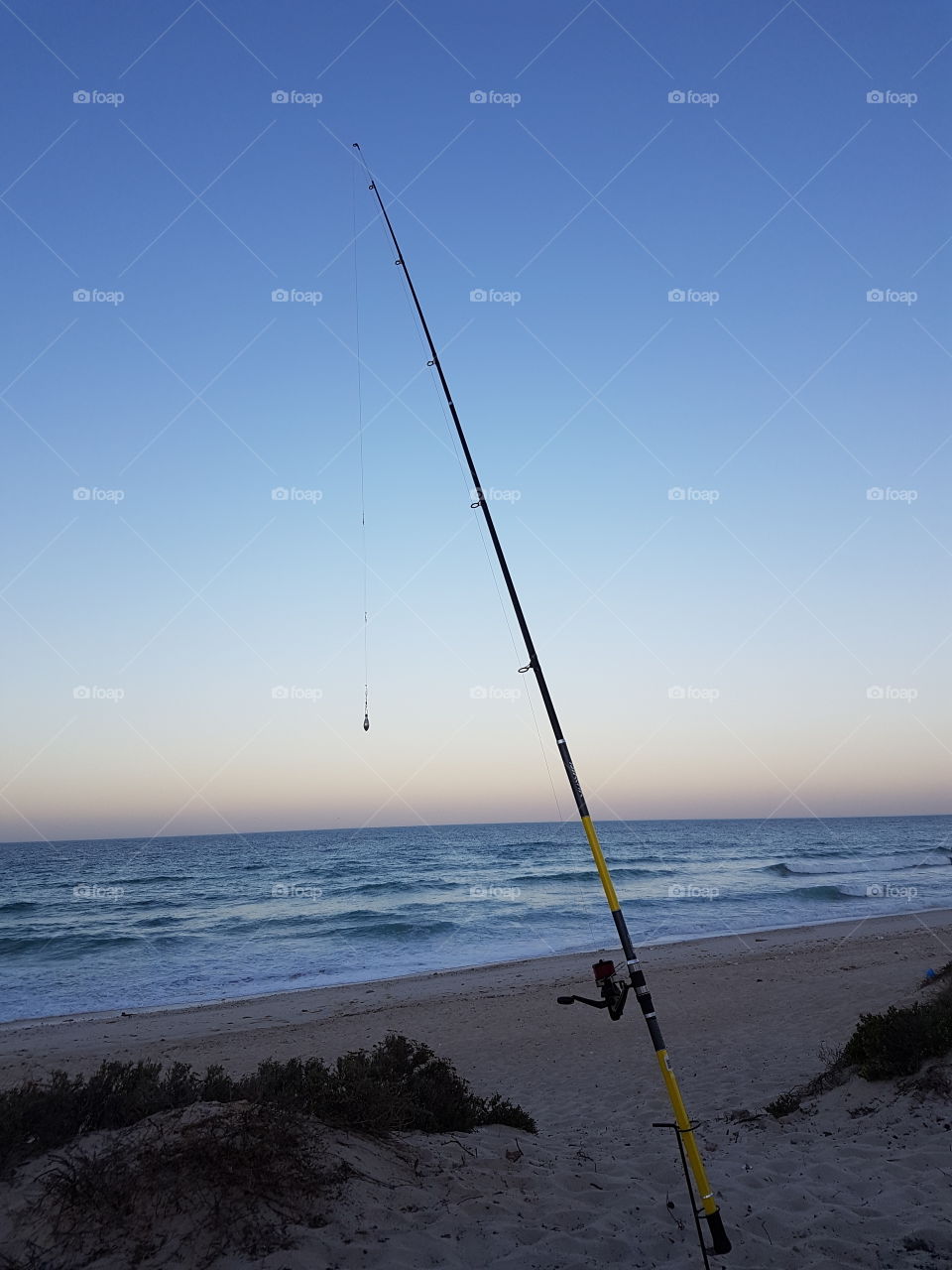 Fishing Rod