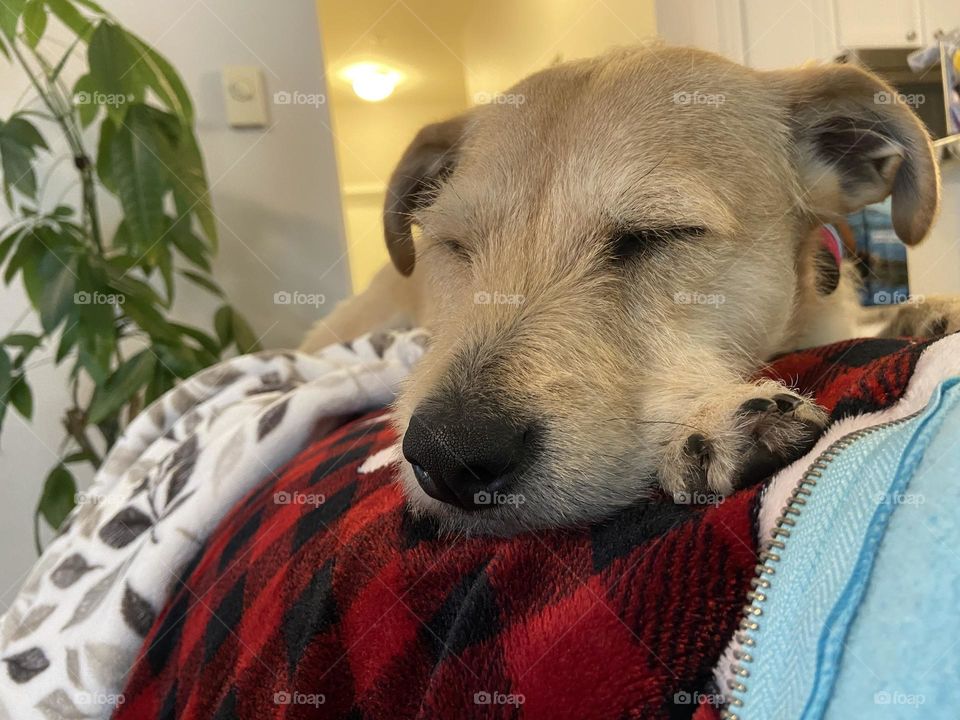 I could see the whole room from here! If I wanted to…