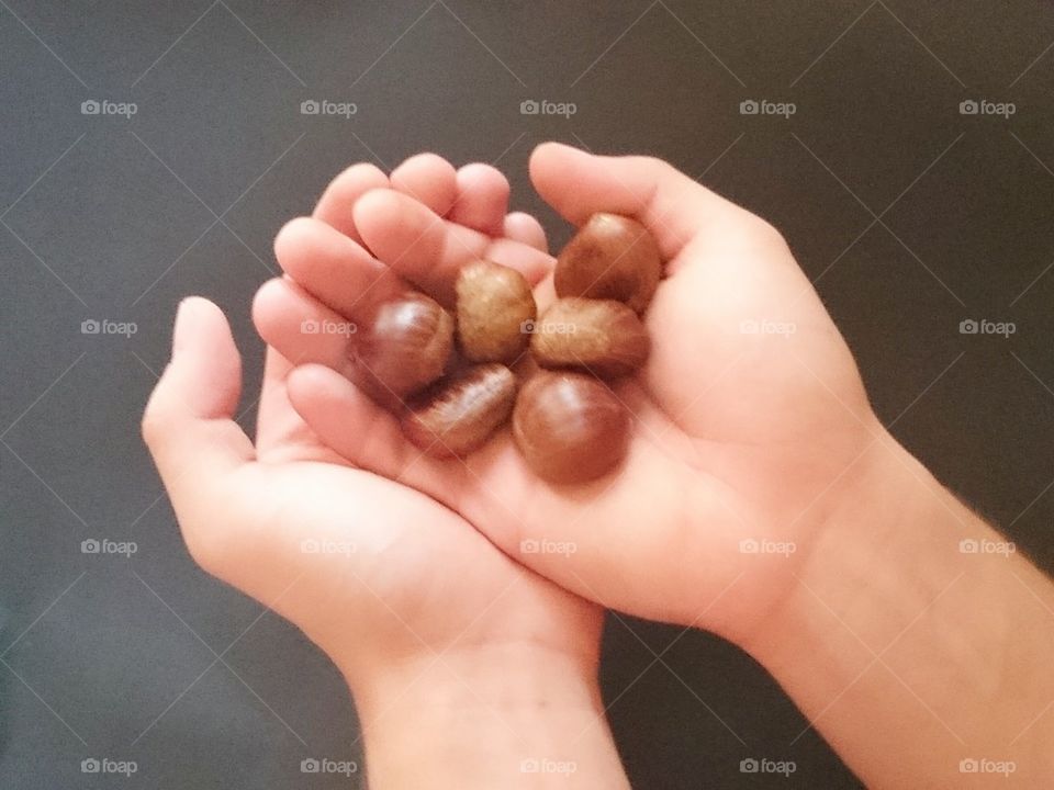 chestnuts