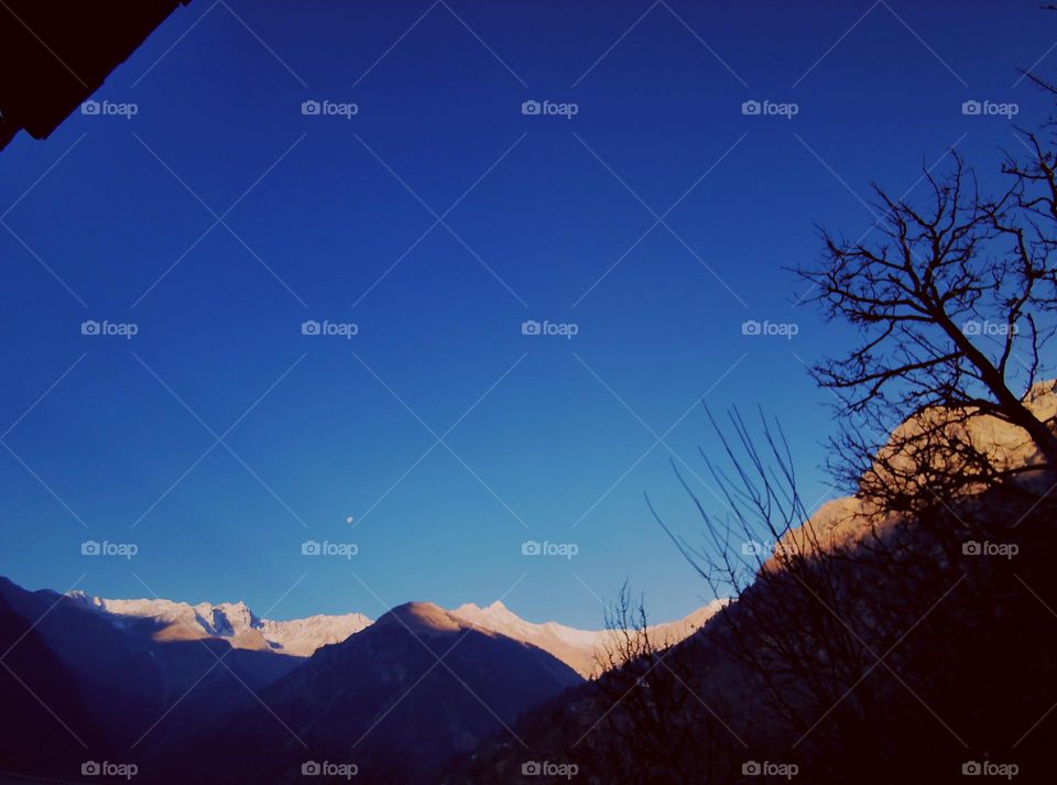 Sunny Morning through the lens of nature