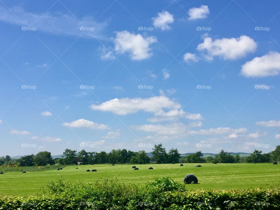 View across the field blue sky 