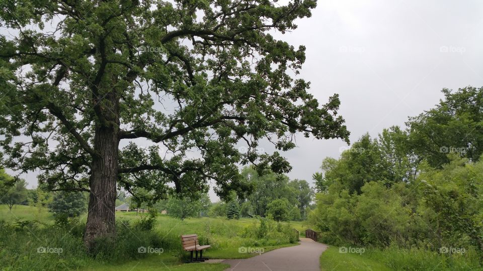 a leisure afternoon walk