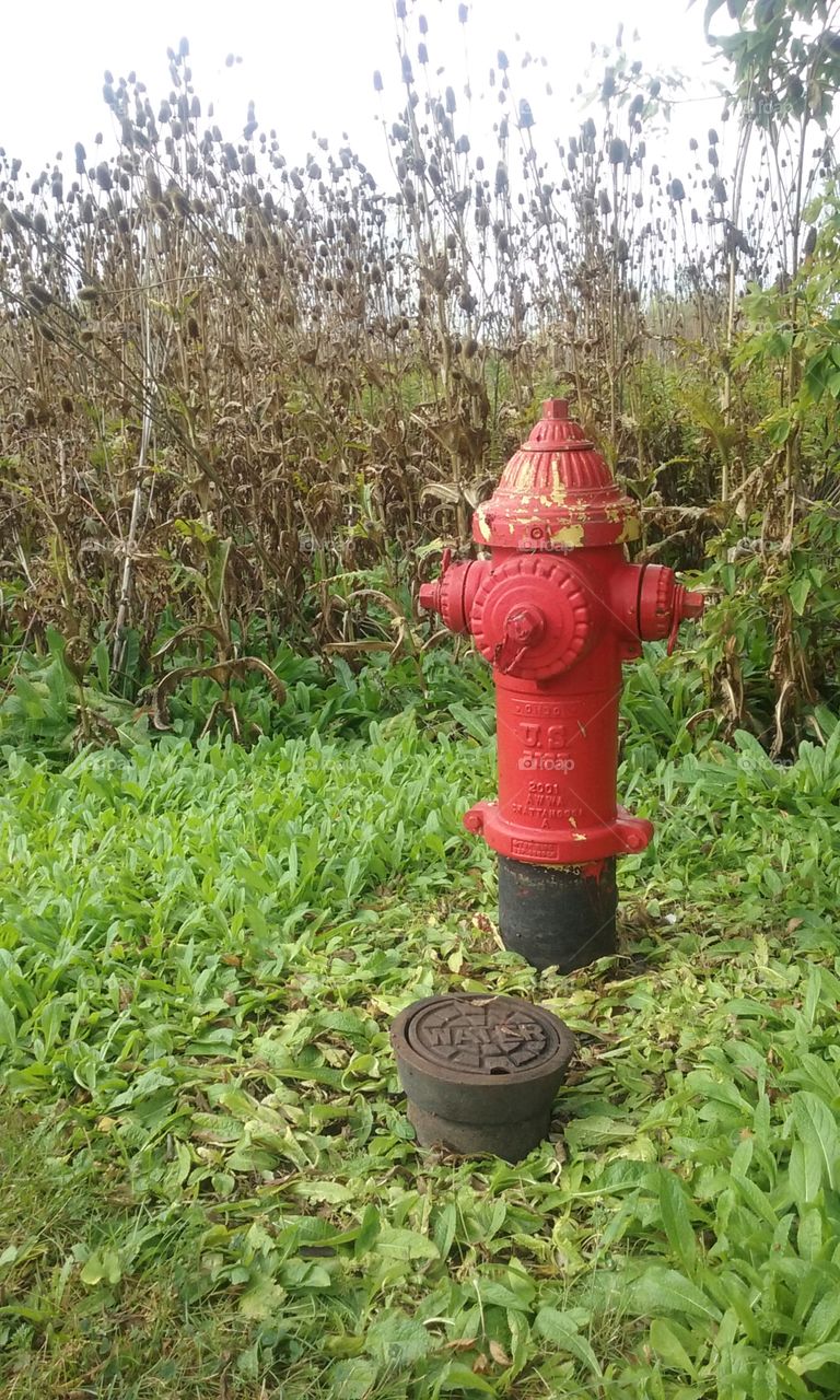 Fire hydrant
