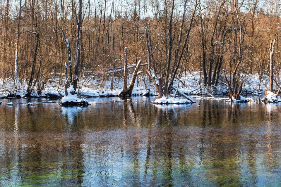 View of idyllic lake