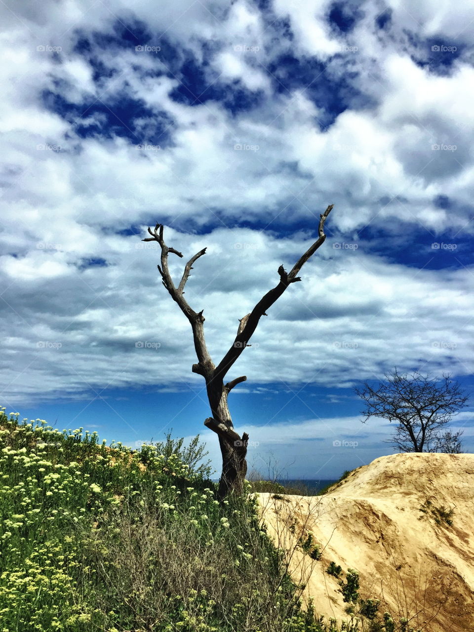 These changes happened during 10 minutes. Spring... 😎