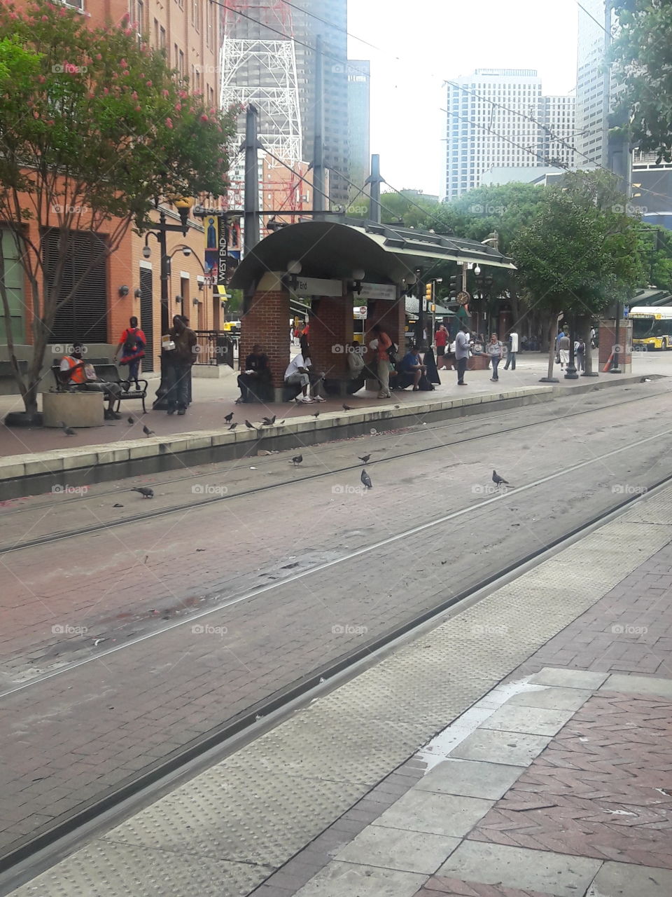 Waiting for the Train