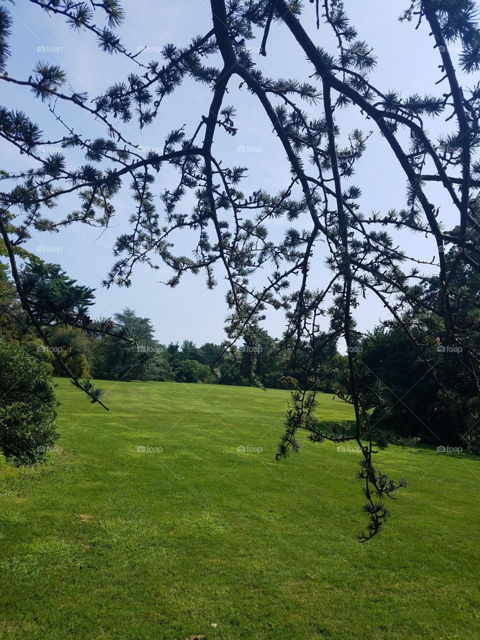 Planting Fields Arboretum State Park, Oyster Bay, NY - August 2017 - Taken on Android Phone - Galaxy S7 - Exploring the Grounds on a Lazy Sunday near the end of Summer