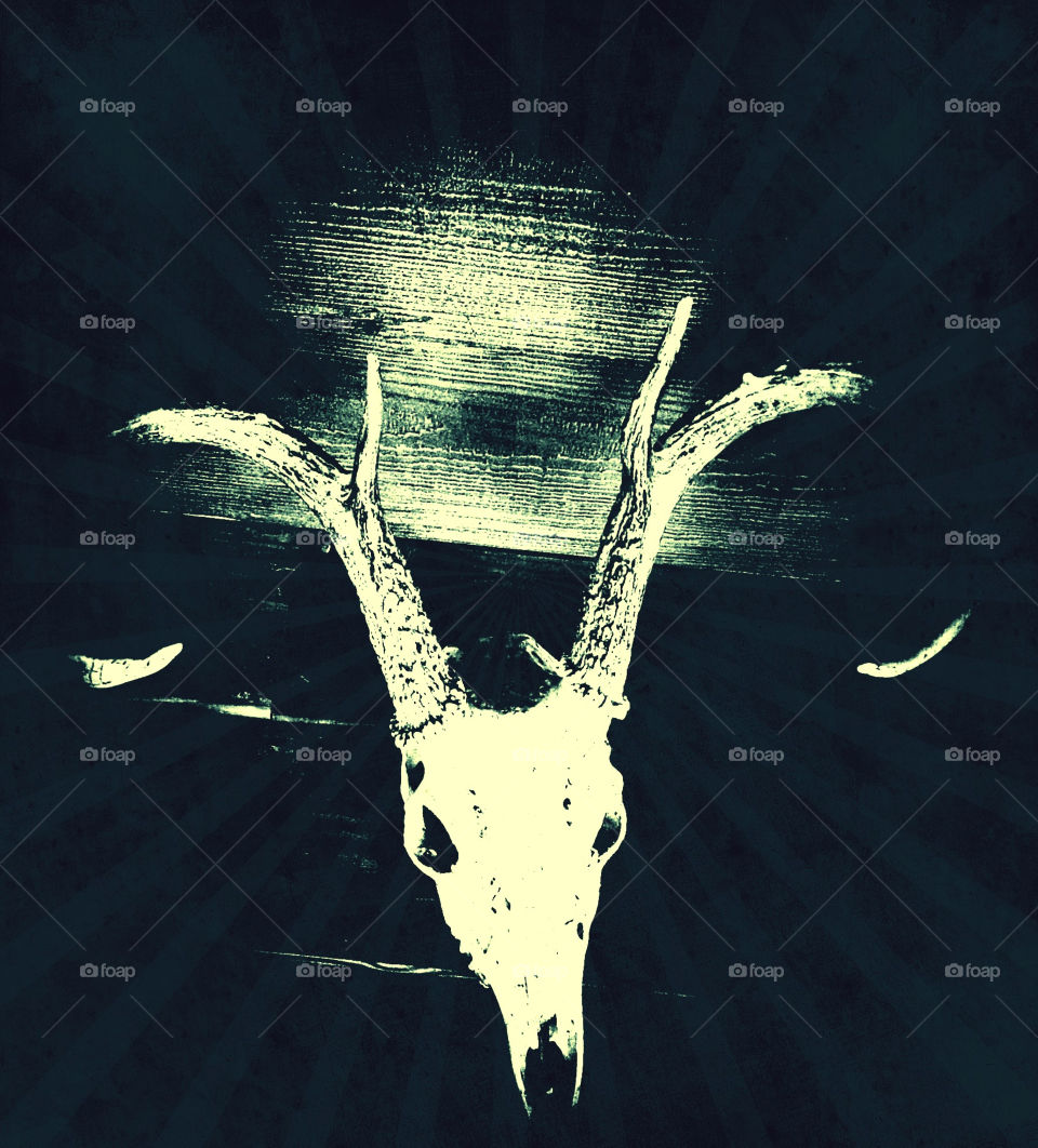 Deer skull Haze 
