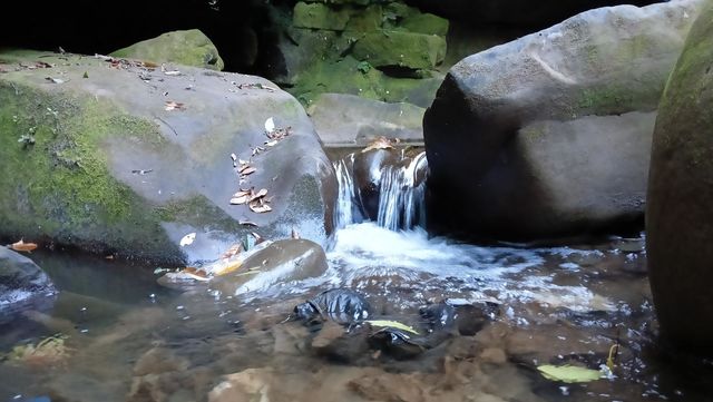 Natural stream