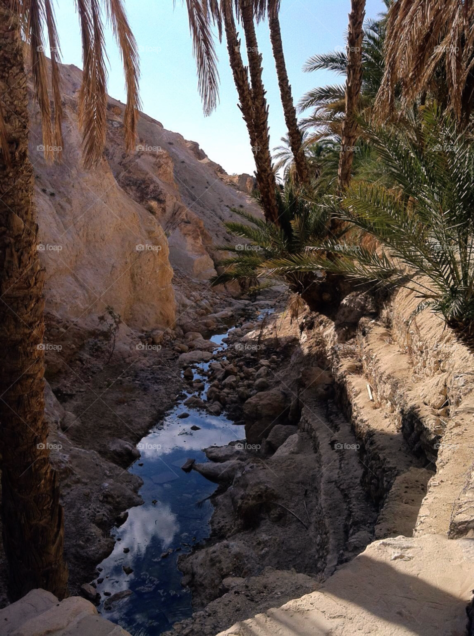 tunisia oasis vally by tazshah