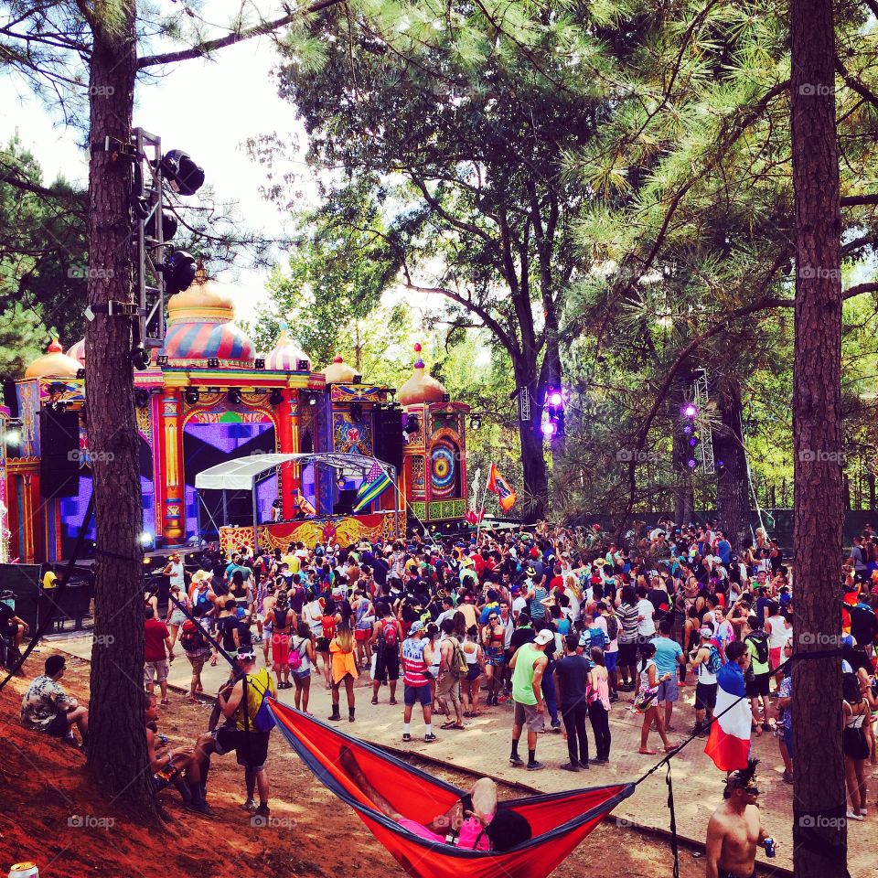 Tomorrow world . Music festival 