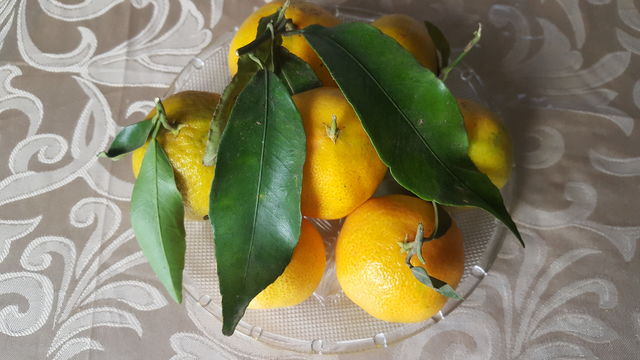 orange