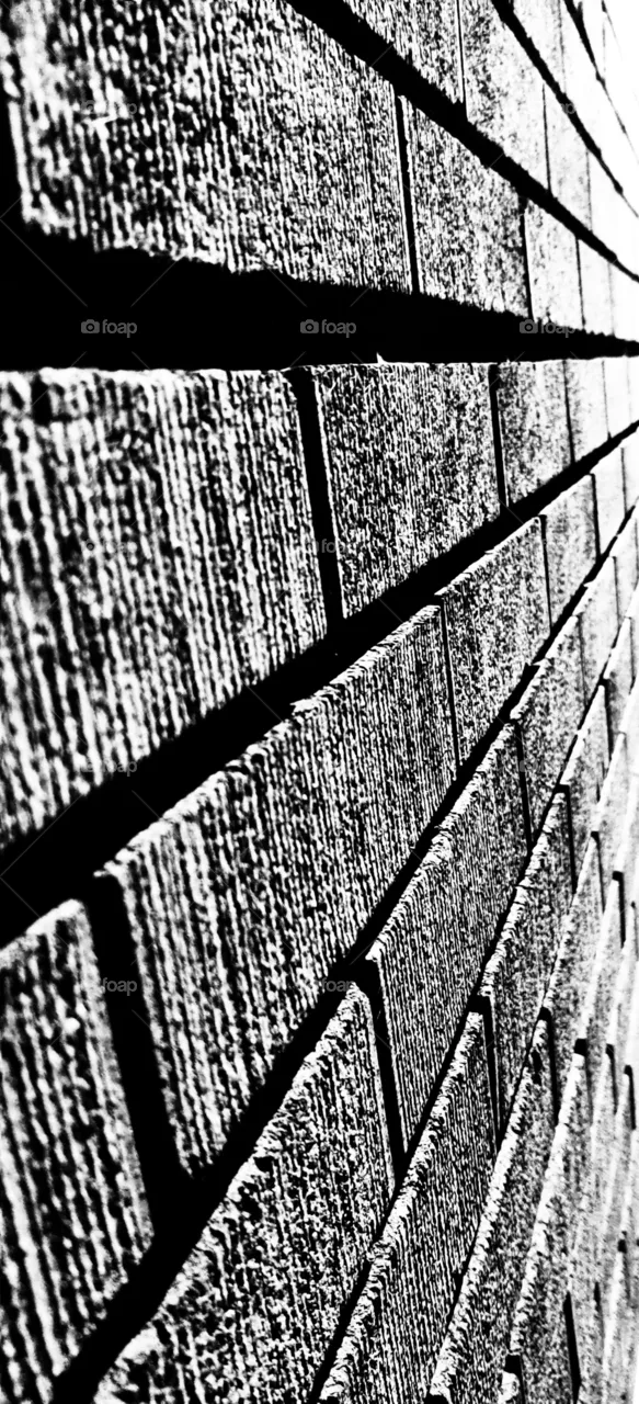 The wall