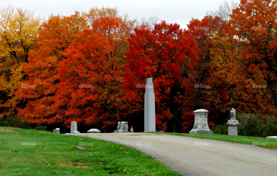 Trees burst with Fall colors at Hope Cemetery in Barre, Vermont.