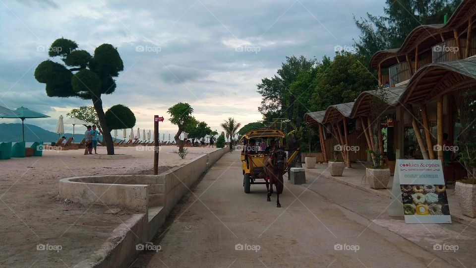 Cidomo is a horse-powered transportation tool typical of the islands of Lombok and the Gili Islands.  Physically, this vehicle is similar to the wagon or horse cart found on the island of Java.  The main difference from a wagon or andong is that a ci