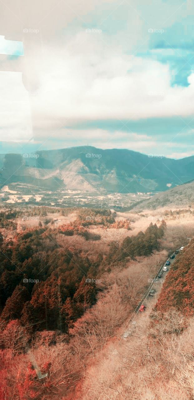 beautiful view of mountain and forest