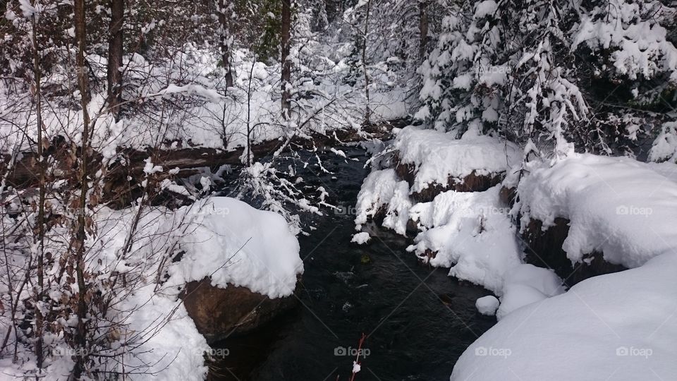 snowy creek