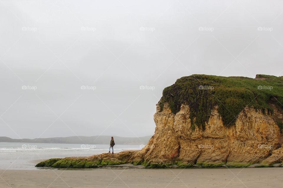 Sea, Water, Beach, Seashore, Ocean