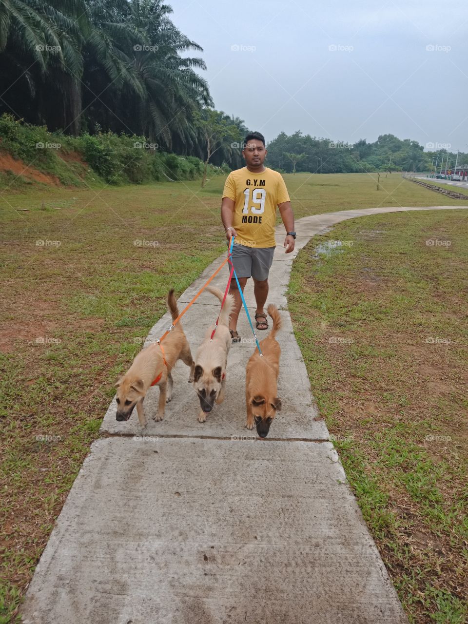 afternoon walk with the girls really helps to take out stress