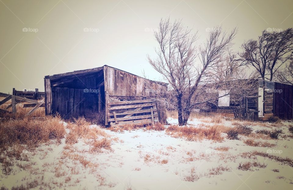 Old Rundown Barn