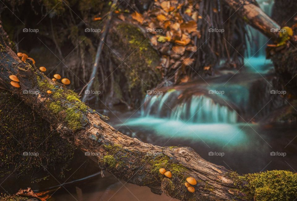 Watch the best exclusive royalty-free photo taken | by Abdul Rahman Exclusive picture of the beauty of nature, buy now the best exclusive picture 2021