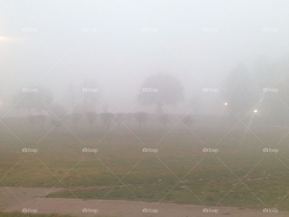 Fog, Landscape, Mist, Smoke, Storm