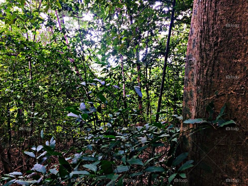 Beautiful views seen while climbing a mountain