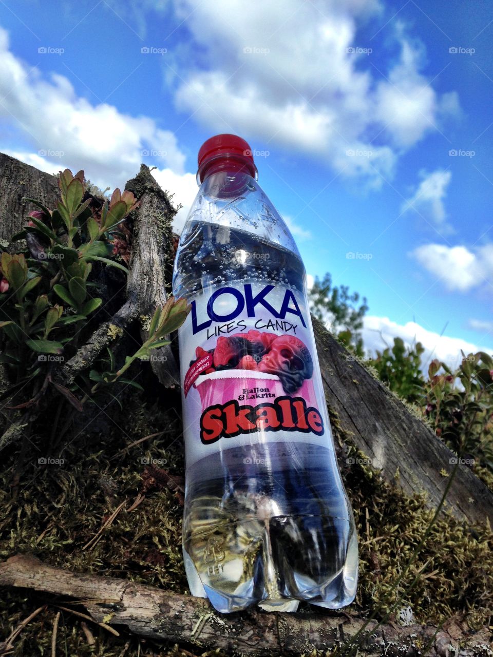 Loka. Best Loka ever