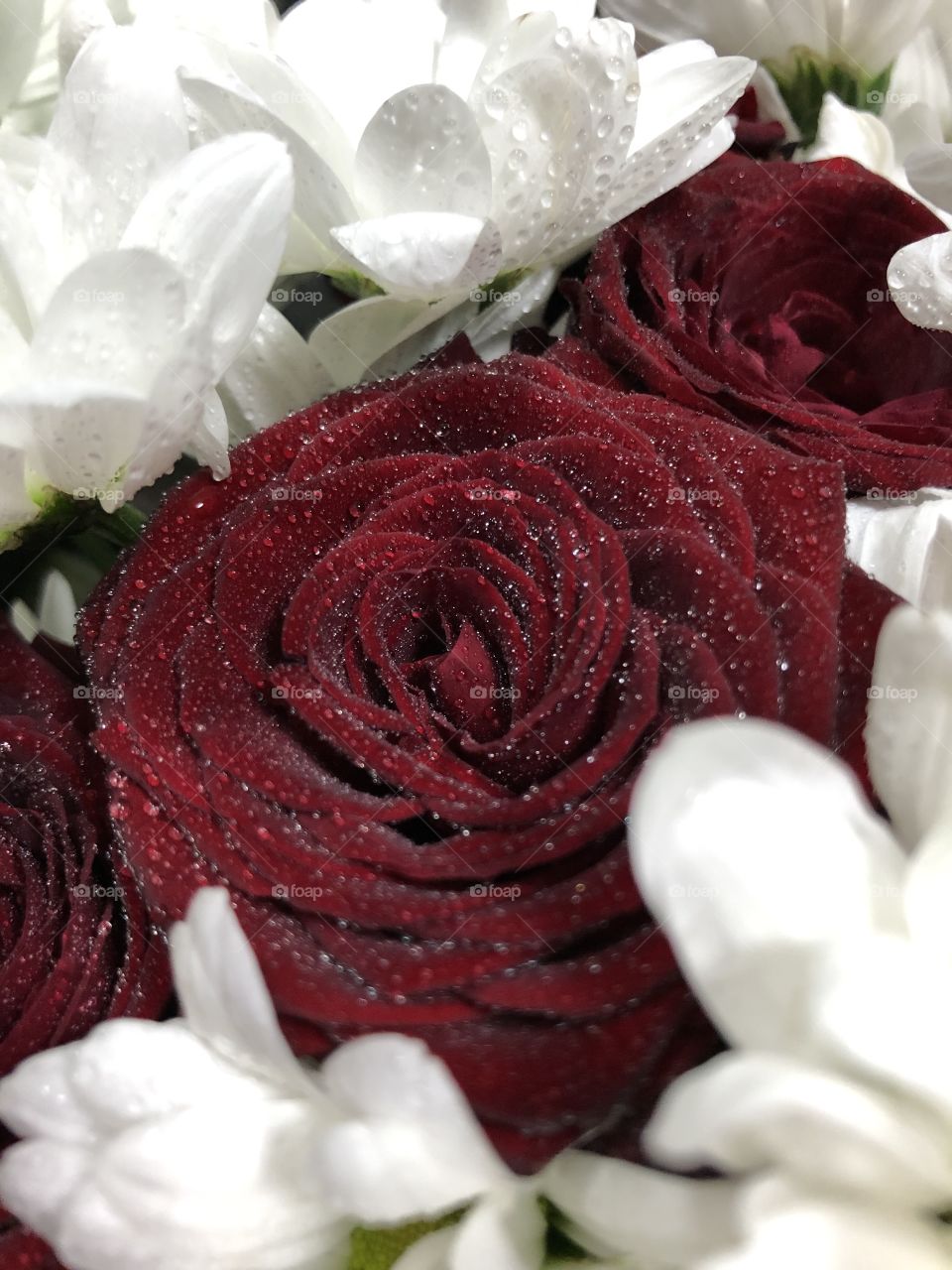 Роса на розах