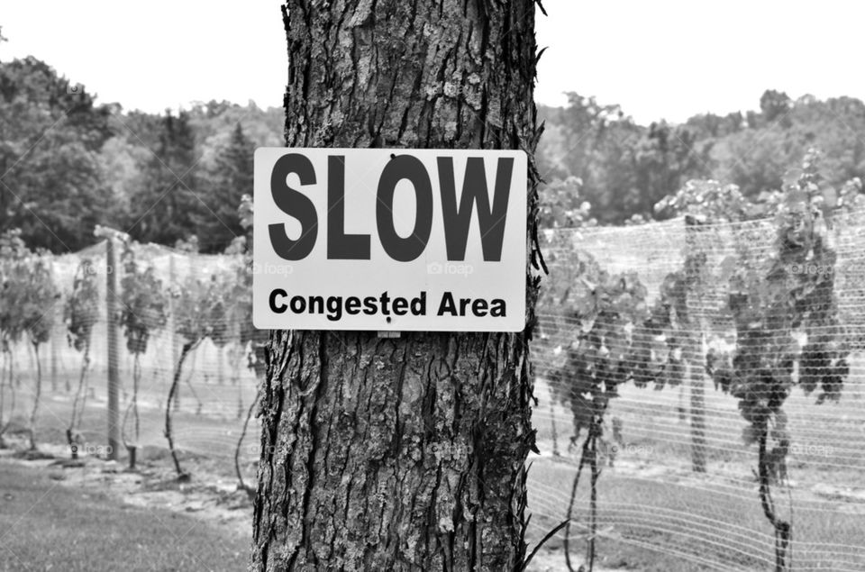 Slow!  Congestion Ahead! Black & White