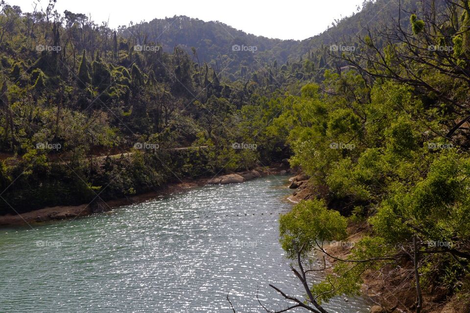 Reflections, sunny day, trees, mountain background