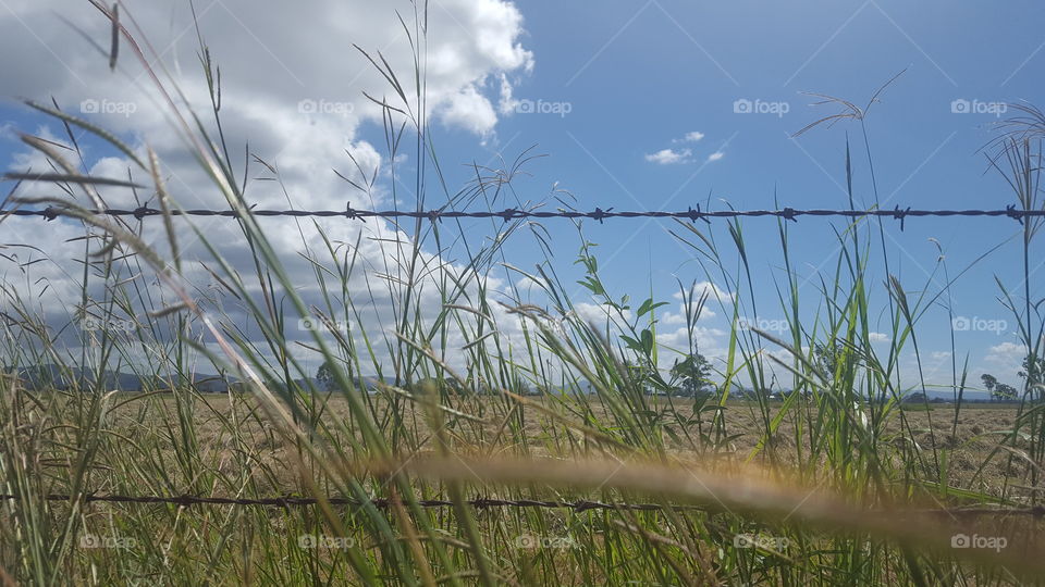 Queensland Country