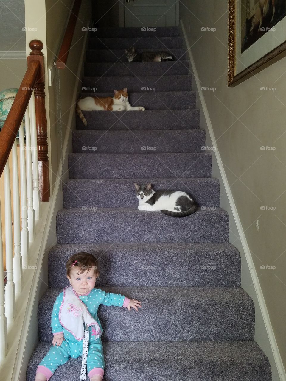 Chilling on the stairs