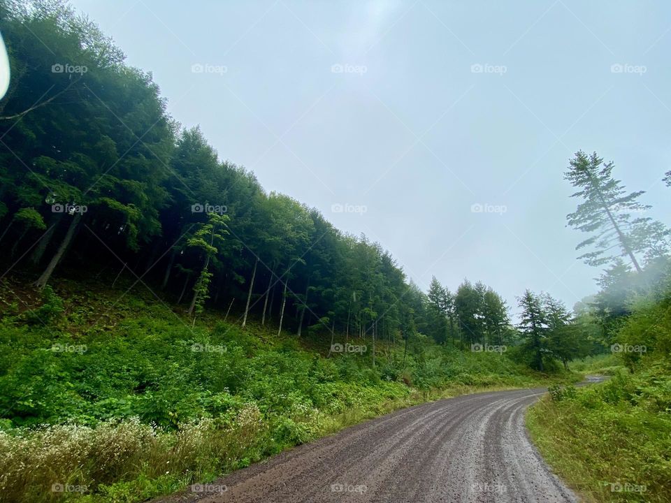 Wilderness dirt road in Michigan’s Upper Peninsula 