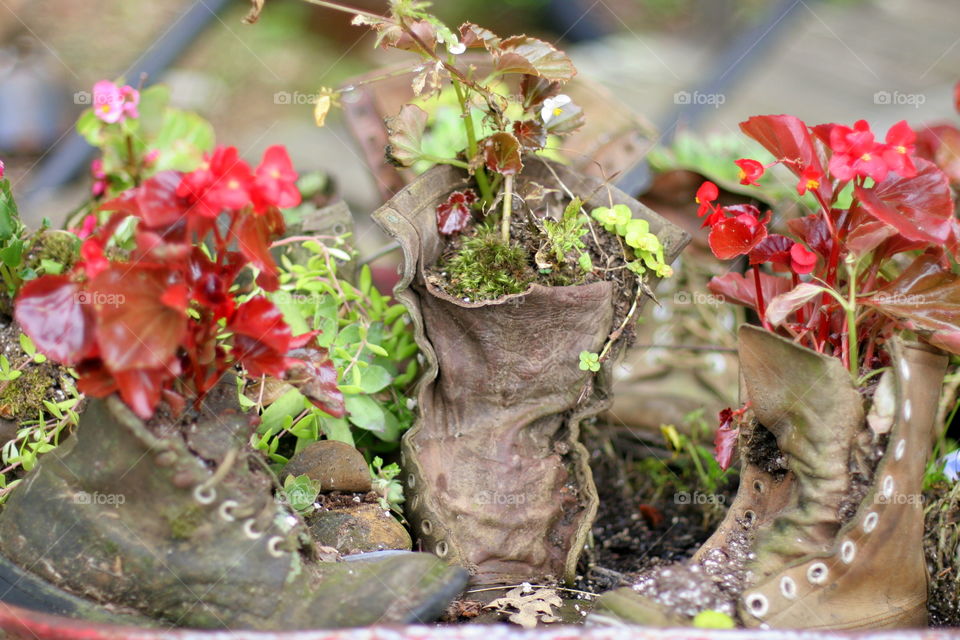 Boot planter