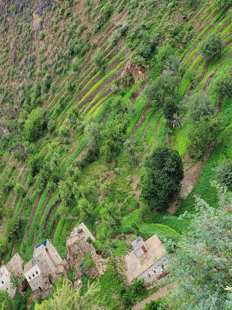 Glory be to God, the magnificent and picturesque view and the natural green trees are a view that is nothing more wonderful than it