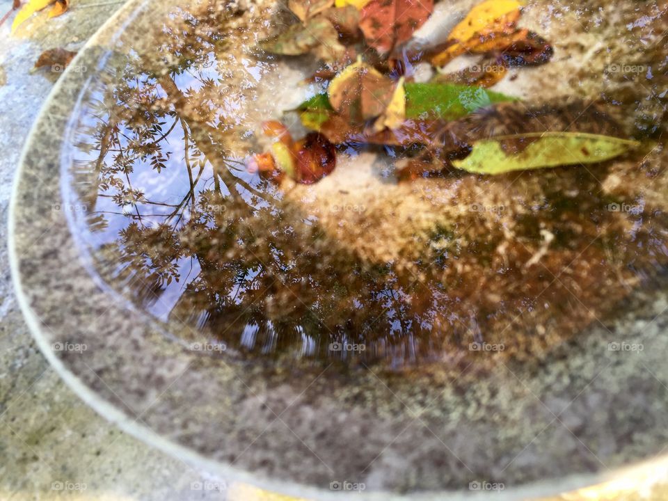 The reflection of a tree in a pot full of water with autumn foliage