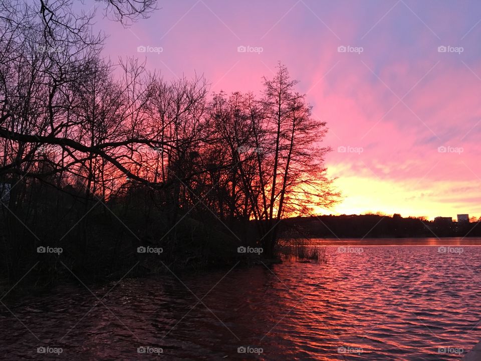 Sunset lake and tree