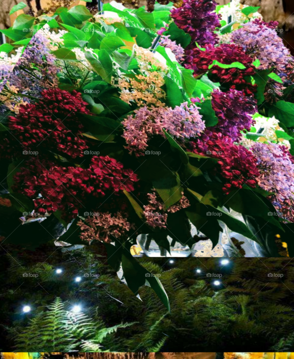 beautiful lilacs filling sent in the air fireflies dance over a bed of ferns